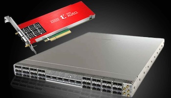 Prime Axon Network Services